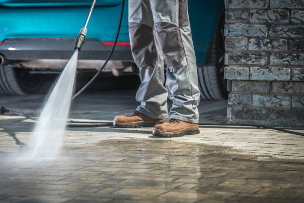 Best Boat and Dock Cleaning  in International Falls, MN