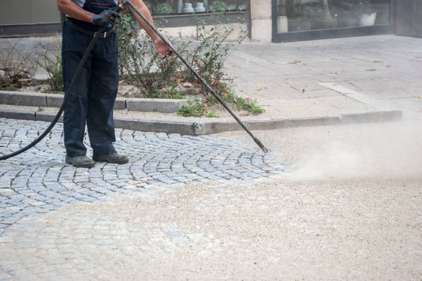Best Dumpster Area Cleaning  in International Falls, MN